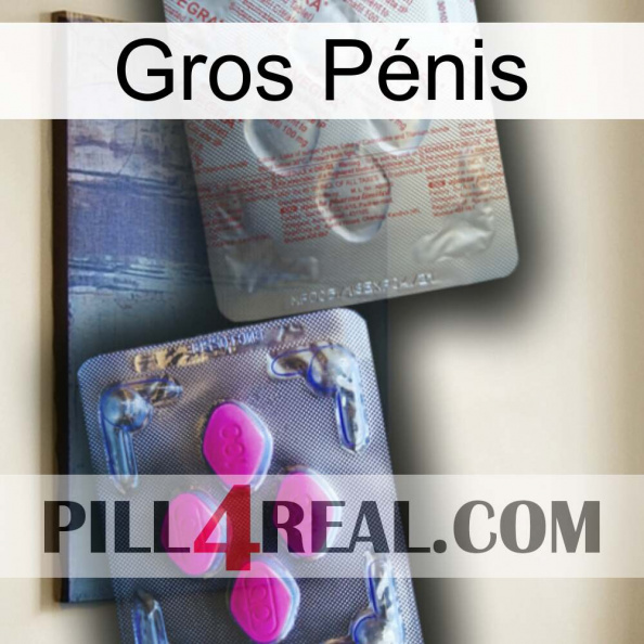 Gros Pénis 38.jpg